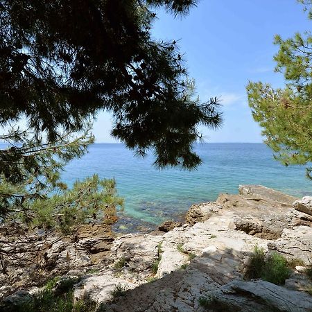 Sea Side Apartment مورتير المظهر الخارجي الصورة